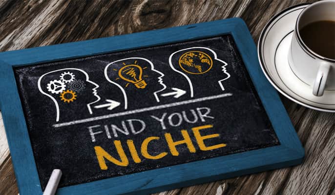 نیچ مارکتینگ Niche Marketing - چگونه مخاطب‌ها را در بازاریابی جاویژه پیدا کنیم؟