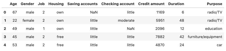 دیتاست German Credit Risk