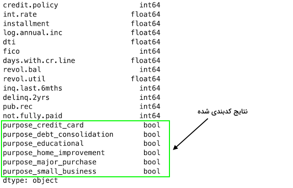 ویژگی های کدبندی شده مجموعه داده Loans