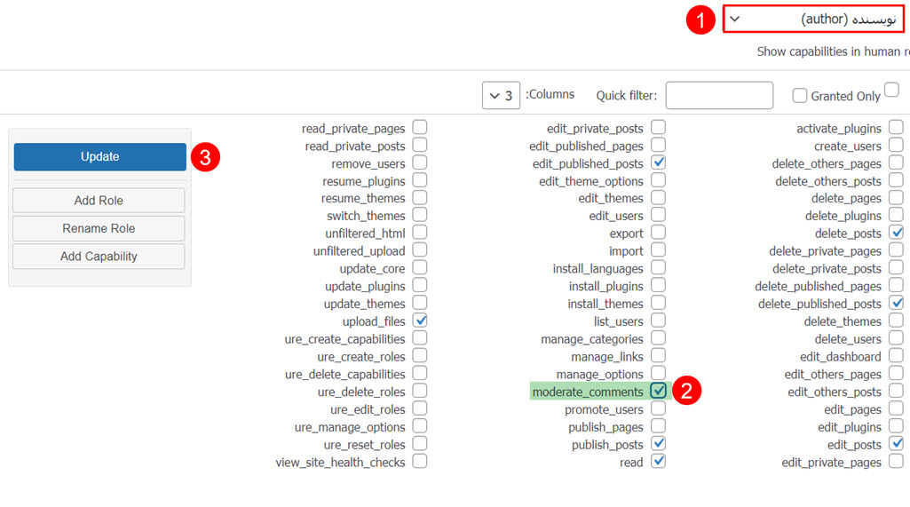 ویرایش اختیارات یک نقش کاربری در وردپرس