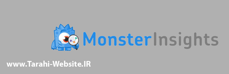 افزونه MonsterInsights